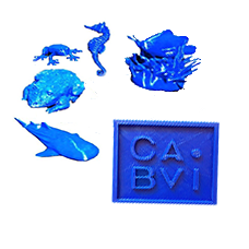 Blue sea creature models: Seahorse, fish in an anemone, frog, whale, shark, and toad, next to the CABVI logo: A blue square with the letters CA and the dot of an i on the top row next to them and the letters BV in the bottom row with the rest of the i next to them